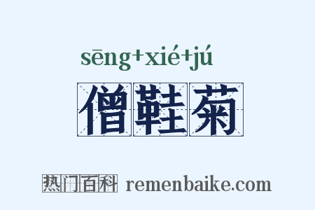僧鞋菊是什么意思的图片